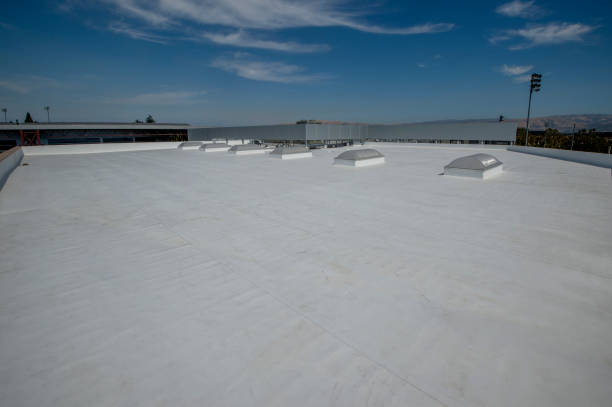 Best Green or Eco-Friendly Roofing Solutions  in Melvindale, MI